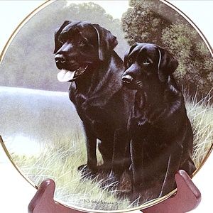 Nigel Hemming Plates Sporting & Canine Companion
